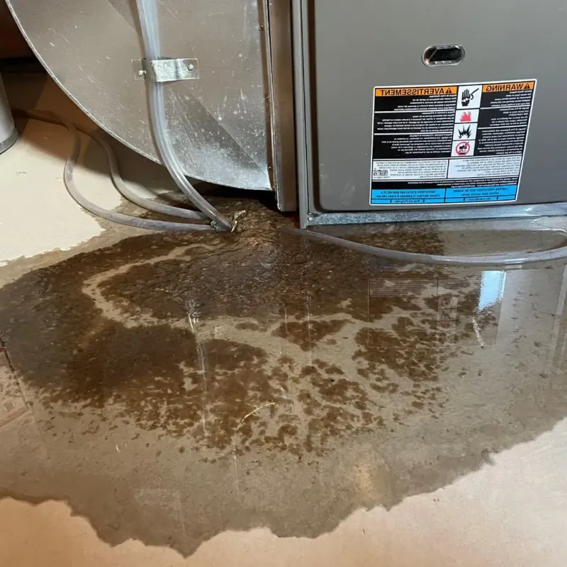 Pipe Burst and Leak Restoration in West York, PA