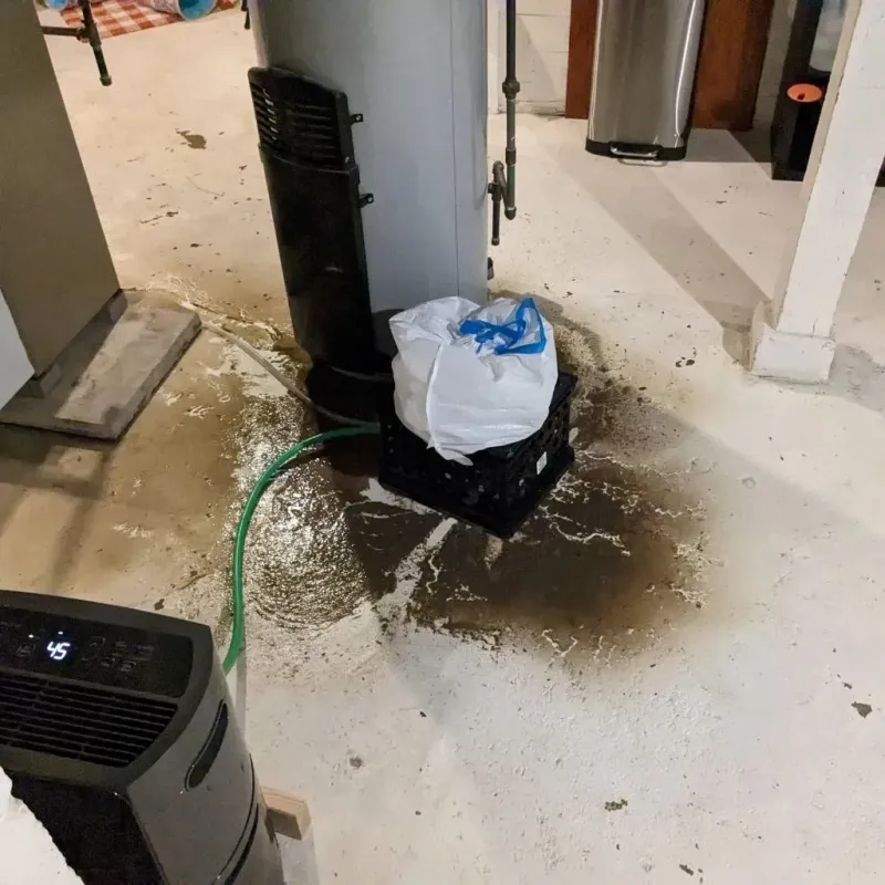 Sewage Backup Cleanup Service in West York, PA